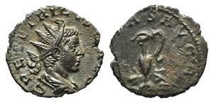 Tetricus II (Caesar, 270-274). Radiate ... 