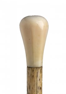 An ivory mounted  walking stick with ... 