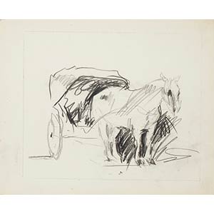 Anonymous XX cent.  Horse, 1950 Pencil on ... 