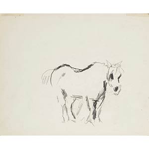 Anonymous XX cent.  Horse, 1950 ... 