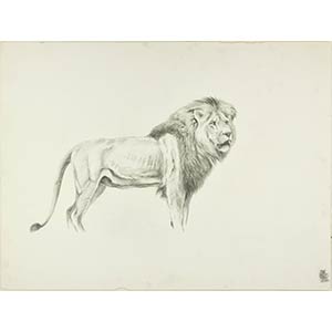 Wilhelm Lorenz  Profile of a Lion,XX Century ... 