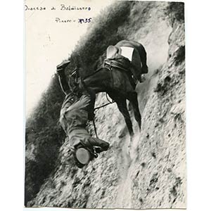  Caduta da cavallo, Pinerolo 1935 14 x 18 ... 