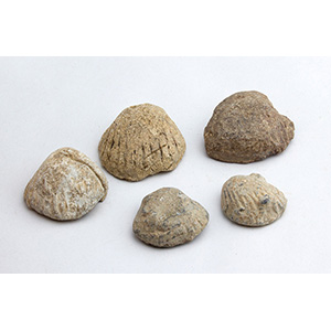 Group of five roman votive lead shells
2nd - ... 
