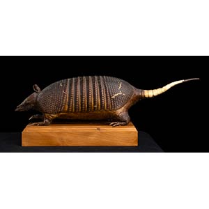 ARMADILLO  Neutralized sample of an ... 