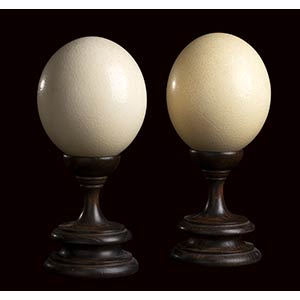 PAIR OF ANCIENT OSTRICH EGGS  Pair of ... 