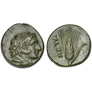 Southern Lucania, Metapontion, ca. 300-250 ... 