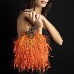 ORANGE OSTRICH AND PEACOCK ... 