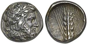 Lucania, Metapontion, Stater, ca. 340-330 ... 