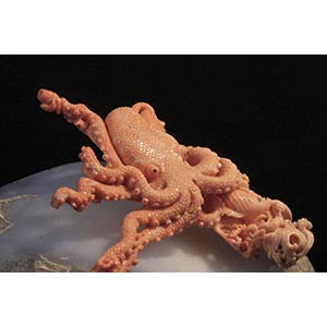 A Cerasuolo coral (Corallium ... 