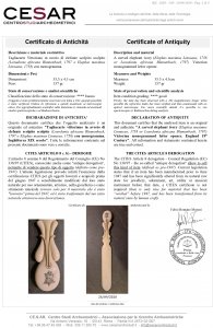 English ivory letter opener - 19th ... 