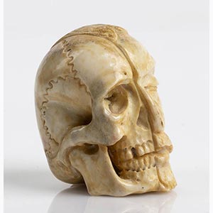 German bone Memento Mori ... 