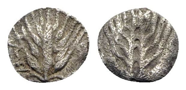 Southern Lucania, Metapontion, c. 540-510 ... 