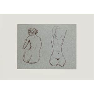 Nude Women is an original drawing in pastel ... 