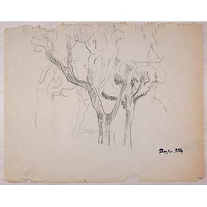 Sketch of a Tree is an original artwork ... 