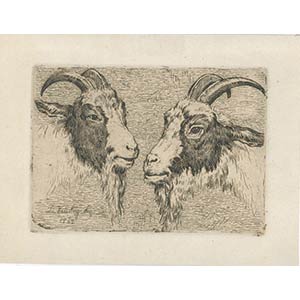 Goats is a wonderful black and white etching ... 