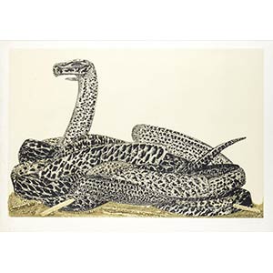 FABRIZIO CLERICI
Python (from the ... 