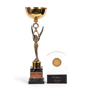 Various awards Lot consisting of trophy in ... 