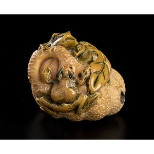 AN IVORY NETSUKE WITH FRUIT AND FROGSJapan, ... 