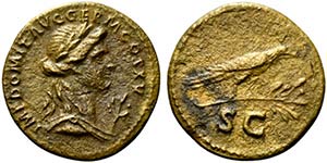 Domitian (81-96). Æ Quadrans (19.5mm, ... 