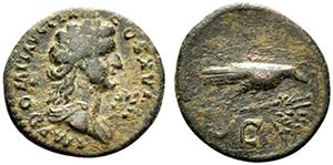 Domitian (81-96). Æ Quadrans (18mm, 3.51g, ... 