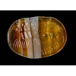 An early roman republican banded agate ... 