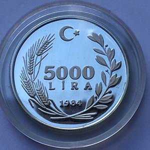 TURCHIA. 5000 Lira 1984. Unite Nations ... 