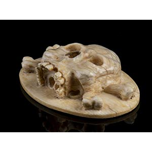 Italian ivory Vanitas with skull - ... 
