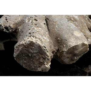 ca. 3725 gr of Rough white coral ... 