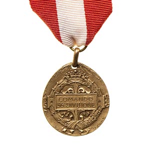 ITALY, KINGDOMCOMMAND MEDAL 36TH DIVISION IN ... 