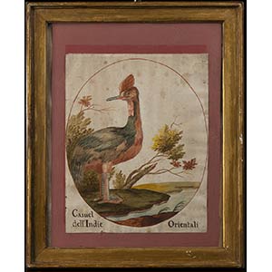 CASUAL FRAMEWORKVintage watercolor depicting ... 