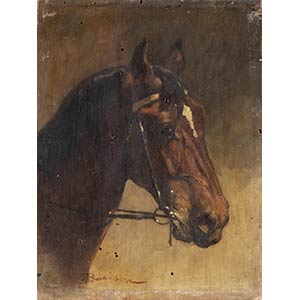 GIUSEPPE BARISON (Trieste 1853 -1931)
Horse ... 