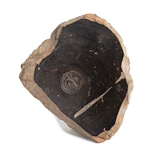 Greek Black-Glazed fragment of Bowl with ... 