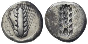 Southern Lucania, Metapontion, c. 510-470 ... 