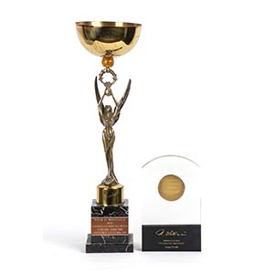 Various awards In good condition, ... 