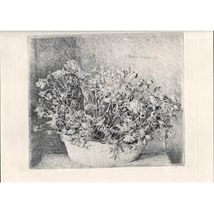 Giovanni Barbisan (1914-1988)Vase of ... 
