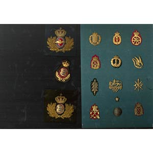DENMARKBoard with 12 badges and 3 cap badges ... 