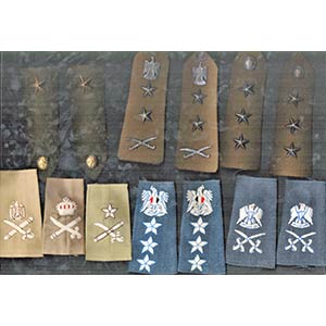 EGYPTLot of shoulder boards and badgesVery ... 