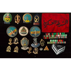 EGYPTLot of badges, campaign ribbons and ... 