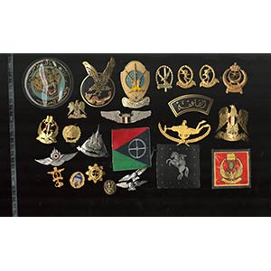 IRAQ? / EGYPTLot of 21 metal badges and 4 ... 