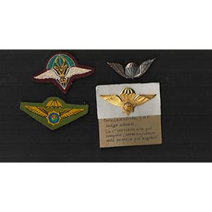 SOUTH AFRICALot of 4 paratrooper badgesVery ... 
