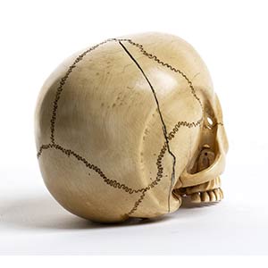 Japanese ivory Skull - Meiji ... 