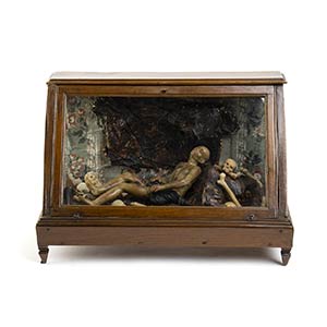 Display case with ceroplast skeleton and ... 