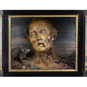 Ceroplast, anatomical bust with ... 