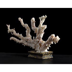 TWO CORAL SCULPTURES WITH ... 