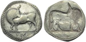 Lucania, Sibari, Statere, c. 550-510 a.C.; ... 