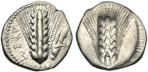 Lucania, Stater, Metapontion, c. 470-440 BC; ... 