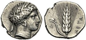 Lucania, Stater, Metapontion, c. 400-340 BC; ... 