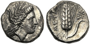 Lucania, Stater, Metapontion, c. 330-290 BC; ... 