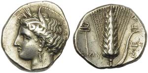 Lucania, Metapontion, Stater, ca. 340-330 ... 