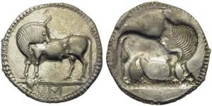 Lucania, Sybaris, Stater, ca. 550-510 BC; AR ... 